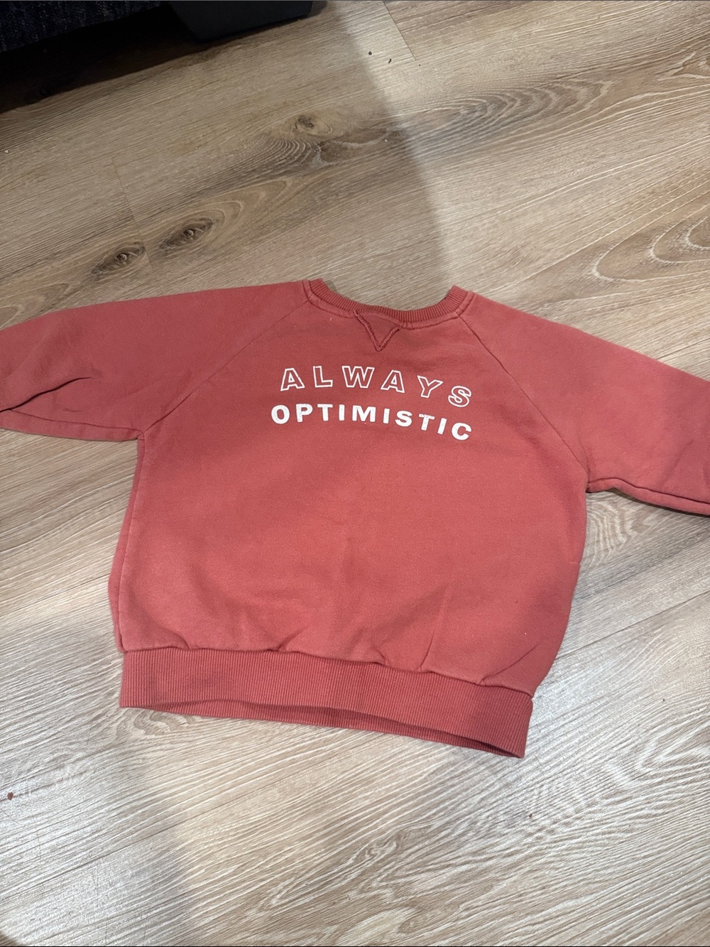 Zara Rust Orange Baby Crewneck Sweatshirt